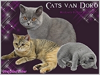 Cats Van Doro